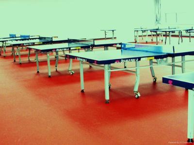 荷澤醫(yī)院塑膠地板,幼兒園塑膠地板,羽毛球地板,乒乓球地板_庫(kù)存體育運(yùn)動(dòng)產(chǎn)品