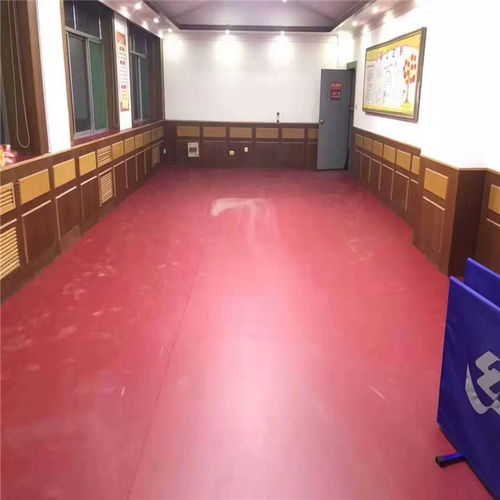 乒乓球場(chǎng)地膠 品牌塑膠地板